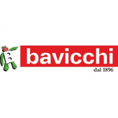 bavicchi_logo